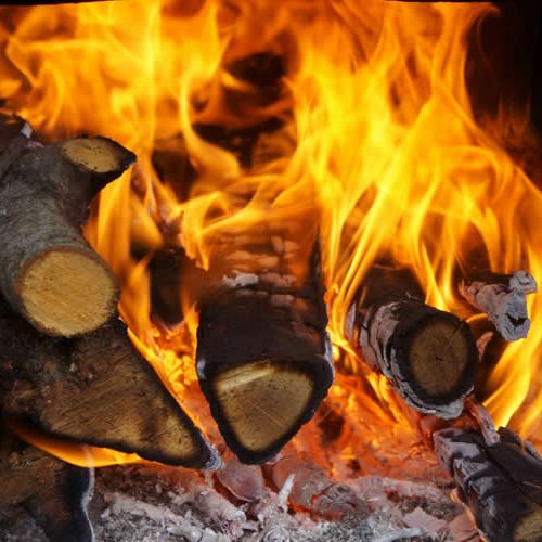 Tipos de lenha par utilizar no churrasco
